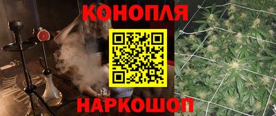PSILOCYBIN Северобайкальск