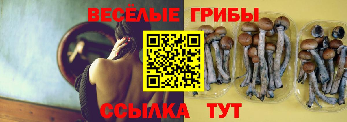 Галлюциногенные грибы Magic Shrooms  Вход с VPN  Галлюциногенные грибы мицелий  продажа наркотиков  Псков 